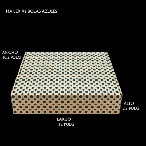 MAILER #2 BOLAS AZULES