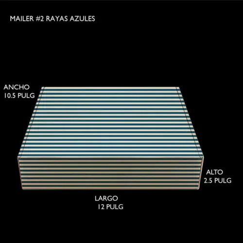 MAILER #2 RAYAS AZULES
